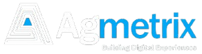 Agmetrix — Building Digital Experiences